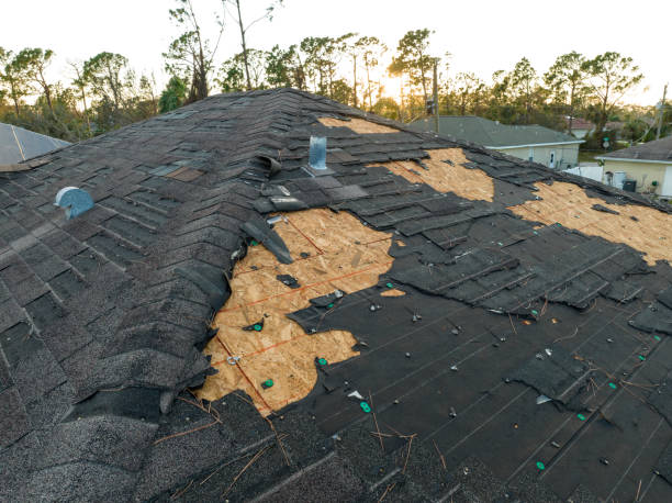 Best Roof Ventilation Installation  in Edneyville, NC