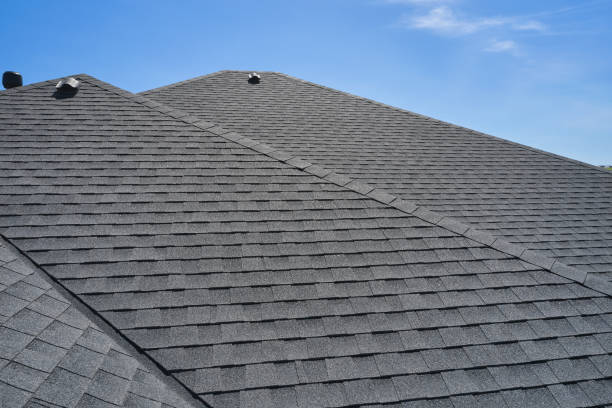 Best Roof Maintenance and Cleaning  in Edneyville, NC